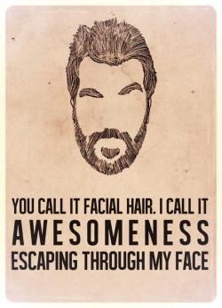 12 best Beard Things images on Pinterest | Beards, Beard style and ...