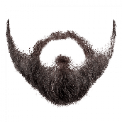 Download Beard Free PNG photo images and clipart | FreePNGImg