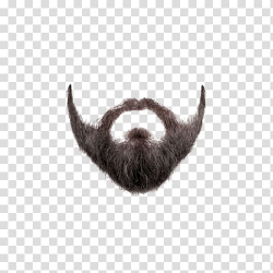 Man beard illustration, Beard , Beard transparent background ...