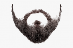 And Moustache Beard Free Png Hq Clipart - Beard Transparent ...