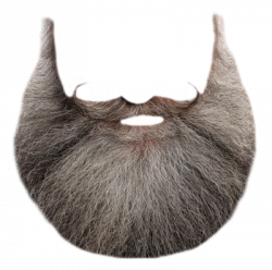 Download BEARD Free PNG transparent image and clipart