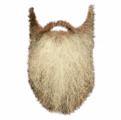 Long Beard transparent PNG - StickPNG