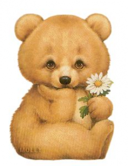 Teddy Bear Animation | Teddy bear, Animation and Bears