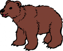 young brown bear - /animals/B/bears/brown/young_brown_bear.png.html