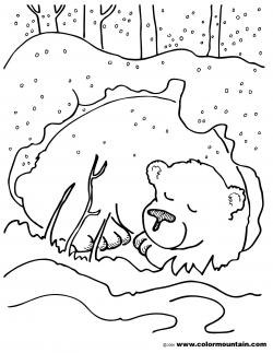hibernating bear color sheet coloring page | Preschool ☃️January ...