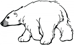 Free Polar Bear Cartoon Pictures Download Free Clip Art Free Grizzly ...