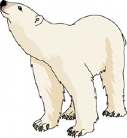 Search Results for polar bear - Clip Art - Pictures - Graphics ...