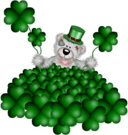 225 best St. Paddy's Day images on Pinterest | St patrick's day ...