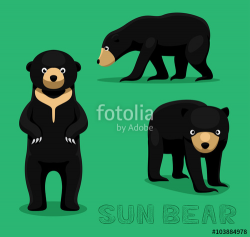 Bear Sun Bear Cartoon Vector Illustration