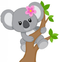 Pin by Cheryl Lynn Kiebler on Koala Bears | Pinterest | Graph ...
