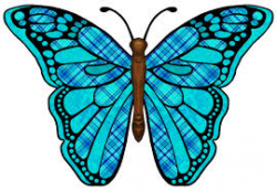 Free Blue Butterfly Clipart