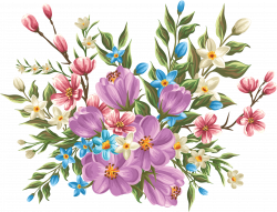 my design / beautiful flowers | цветы | Pinterest | Beautiful ...