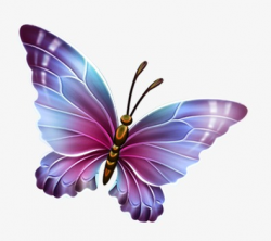 Silhouette Beautiful Butterfly, Sketch, Dream, Butterfly Png PNG ...