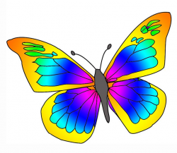 Clipart butterfly outline free clipart images 3 - Cliparting.com ...