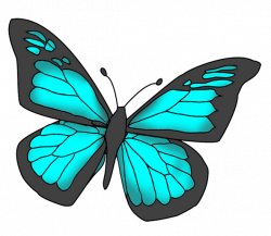Butterflies cartoon butterfly clipart butterfly - Clipartix | Wings ...