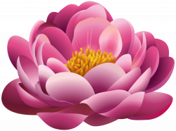 Beautiful Pink Flower PNG Clipart Image | Gallery Yopriceville ...
