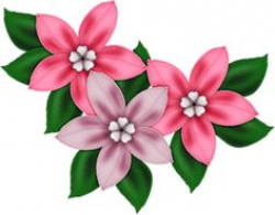 Pink Flower Decor PNG Clipart | Beautiful Flowers | Pinterest ...