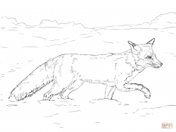 Beautiful Arctic Fox Coloring Page Best Clipar #29809 - Unknown ...