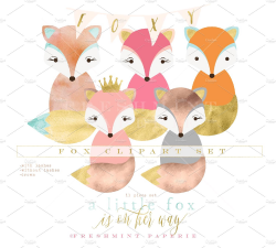 watercolor fox clipart set ~ Graphics ~ Creative Market