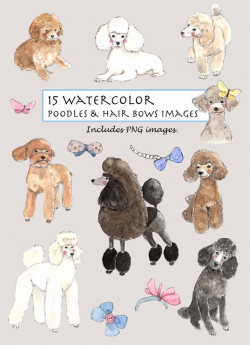 CLIP ART- Watercolor Poodles & Hair Bows Set. 15 Images. Digital ...