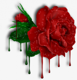 Bright Red Roses, Bright, Red Rose, Beautiful PNG Image and Clipart ...