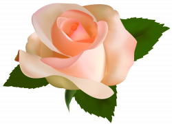 Beautiful Rose PNG Clipart - Best WEB Clipart