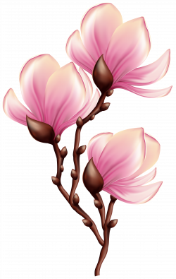 Beautiful Blooming Branch Transparent PNG Clip Art Image | Gallery ...