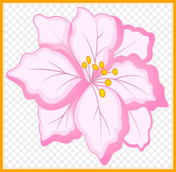 Stunning Pink Floral Design Clip Art White Flower Png Picture For ...