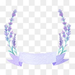 Lavender PNG Images, Download 1,606 PNG Resources with Transparent ...
