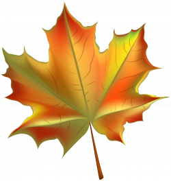 Beautiful Autumn Leaf Transparent PNG Clip Art Image | Gallery ...