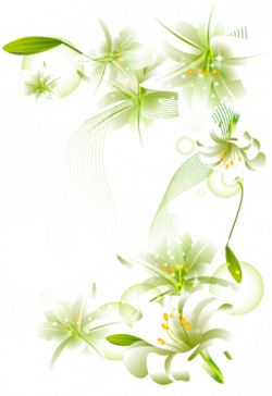 white flower png | White Flowers Element Free Transparent Clipart ...