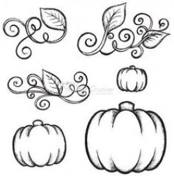Pumpkin Vine Border | Vector art, Art illustrations and Royalty