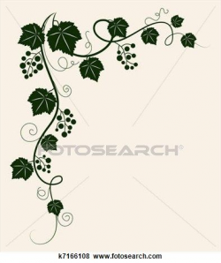 Beautiful grape vine. Clip Art | Grape vines, Vector graphics and ...