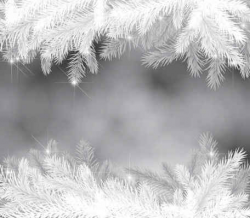Free Winter Background Clipart and Vector Graphics - Clipart.me