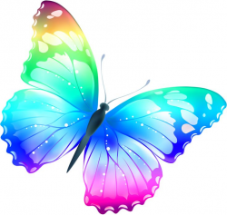 41 best butterfly images on Pinterest | Butterflies, Butterfly clip ...