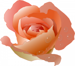 Free Rose Clipart, Animations and Vectors