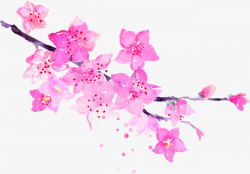 Pink Watercolor Flowers, Pink, Beauty, Watercolor PNG Image and ...