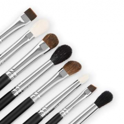 Buy the 8 Piece pro Series Eye Brush Set with Makeup Brush Case by ...
