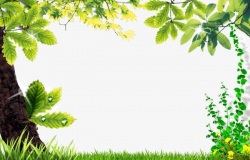 Beautiful Natural Border PNG, Clipart, Backgrounds ...