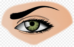Eyebrow Beauty Clip art - Woman Eyes Transparent Background png ...