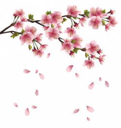 Beautiful Pink Spring Branch with Falling Petals PNG Clipart | print ...