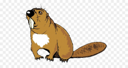 Beaver Clip art - Cartoon beaver teeth png download - 694*476 - Free ...