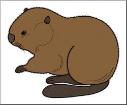 Clip Art: Baby Animals: Beaver Kit Color 1 I abcteach.com ...