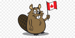 Canada North American beaver Clip art - Flag beavers png download ...