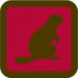 Beavers Scouts (5-7) – 1st Alliston Scouts