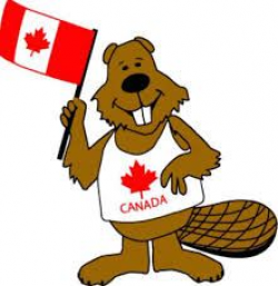 Image result for cartoon beaver with canadian flag | Wedding ...