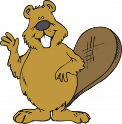 Beaver,animal,friendly,waving,hello - free photo from ...
