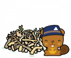 bs-beaver-lodge-citizenship - Scouts Canada