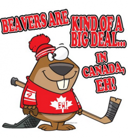 canada beaver cartoon - Google Search | Canada Day | Pinterest ...
