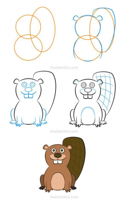 How to draw a beaver - Comment dessiner un castor | How To Draw ...